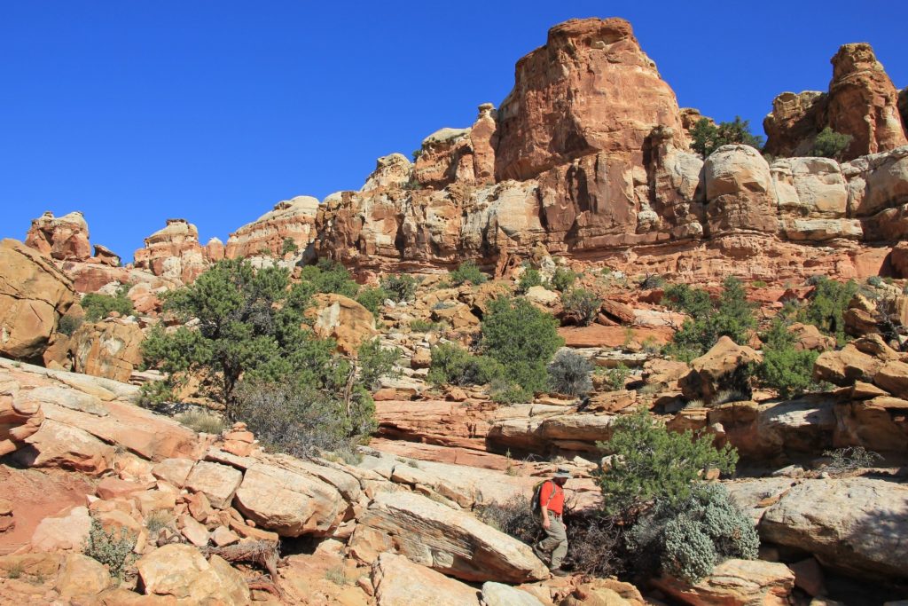 10-11-13 Capitol Reef (39)