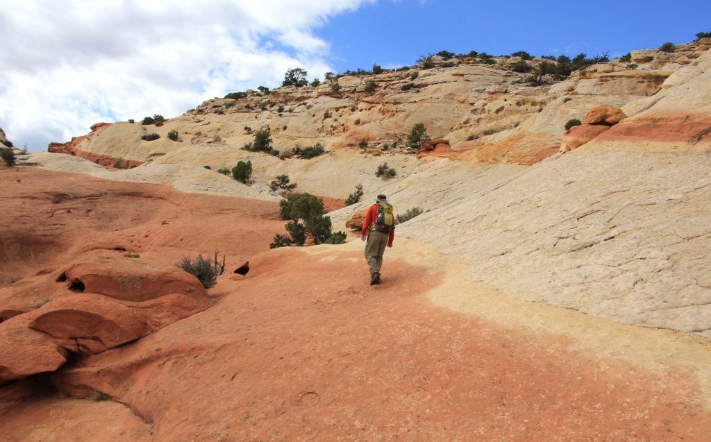 10-11-13 Capitol Reef (57)