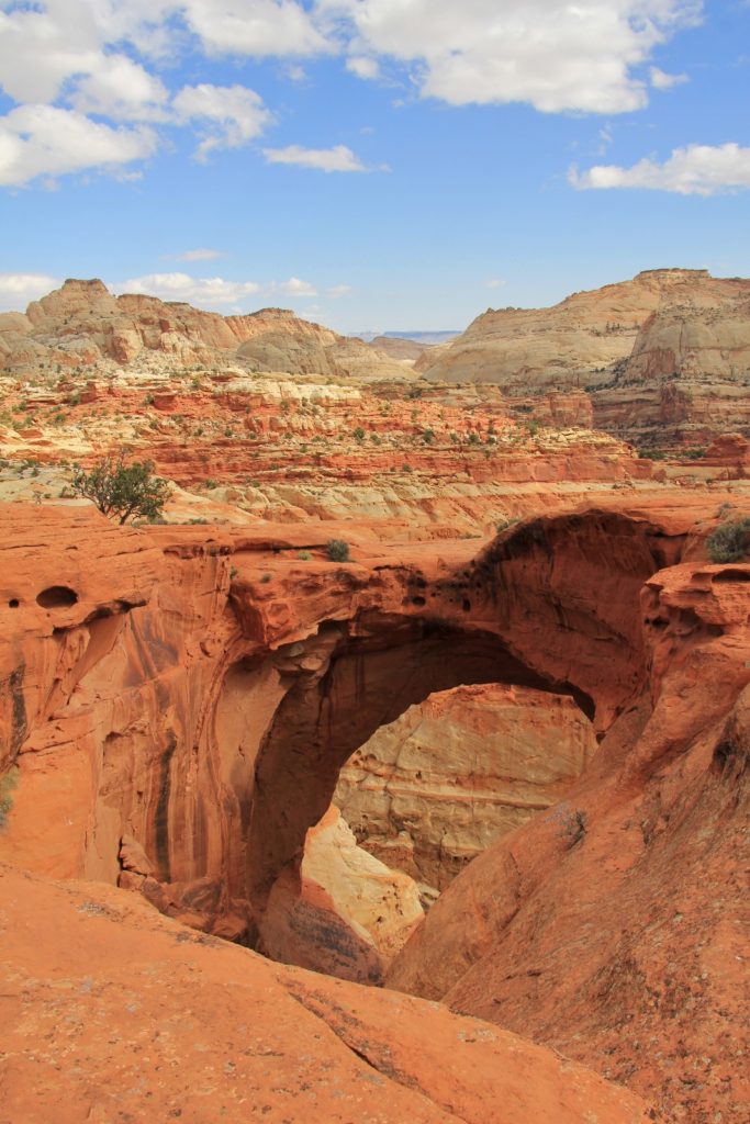 10-11-13 Capitol Reef (59)