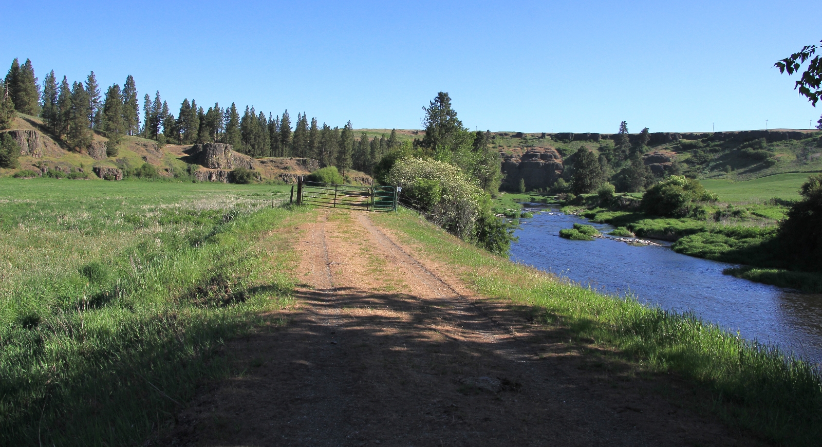 05-08-16 Colfax River Trail (15)