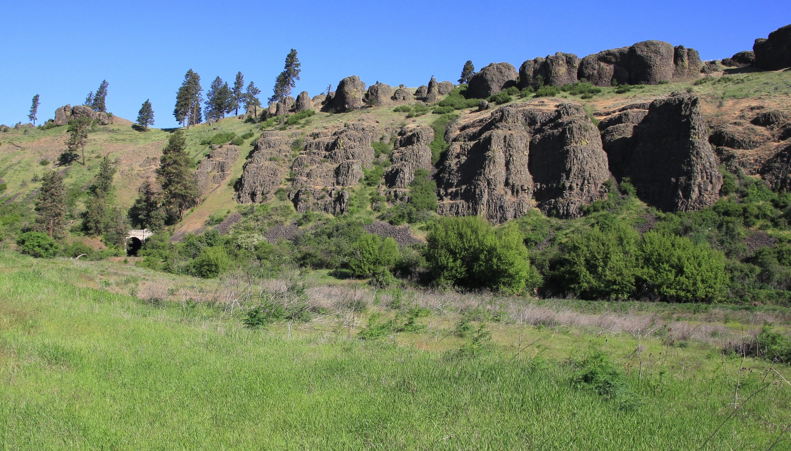 05-08-16 Colfax River Trail (34)