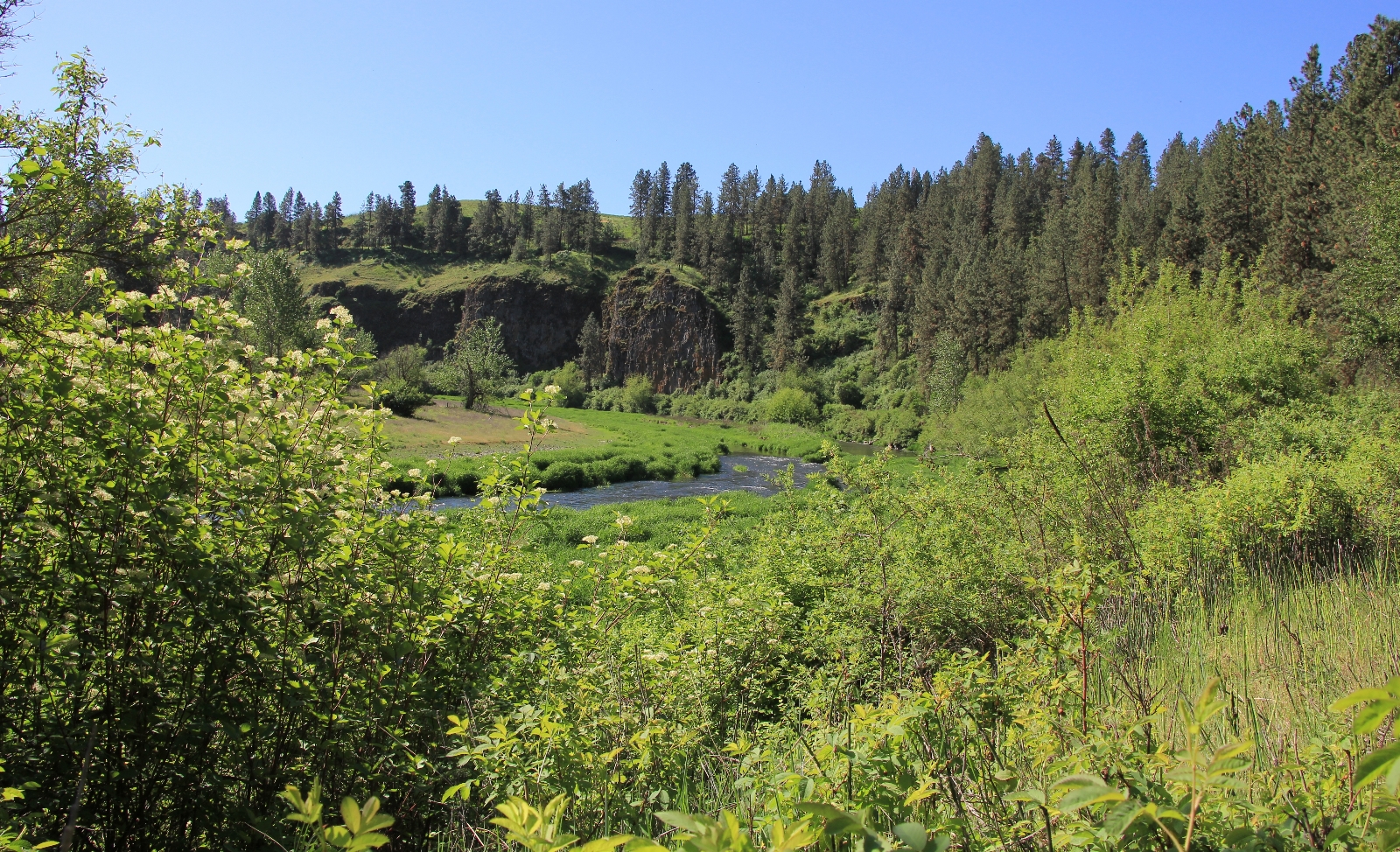 05-08-16 Colfax River Trail (42)