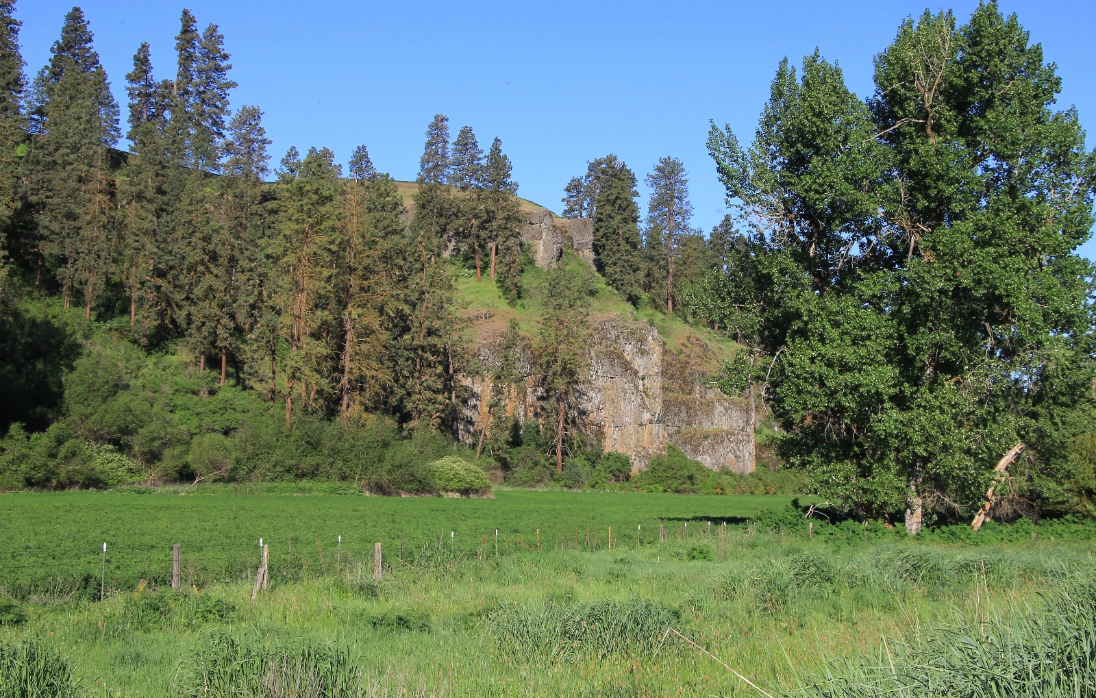 05-08-16 Colfax River Trail (7)