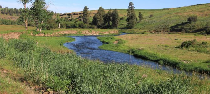 SE Washington’s Palouse River Trail, May 2016 SE Washington’s Palouse River Trail, May 2016