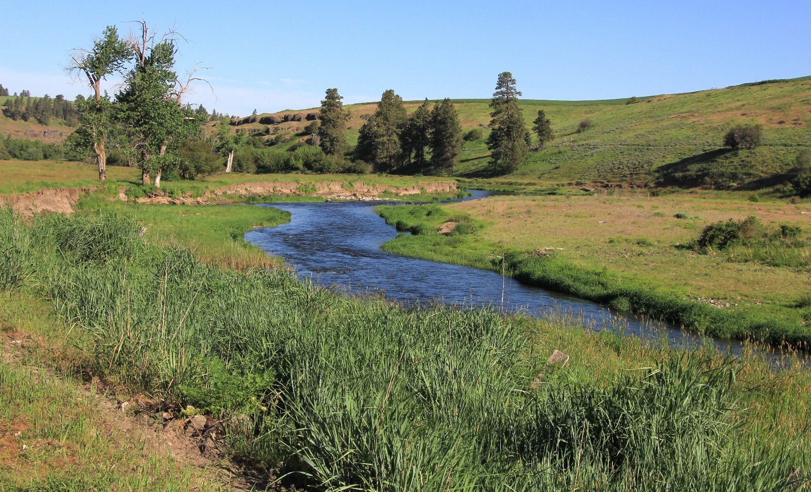 05-08-16 Colfax River Trail (8)