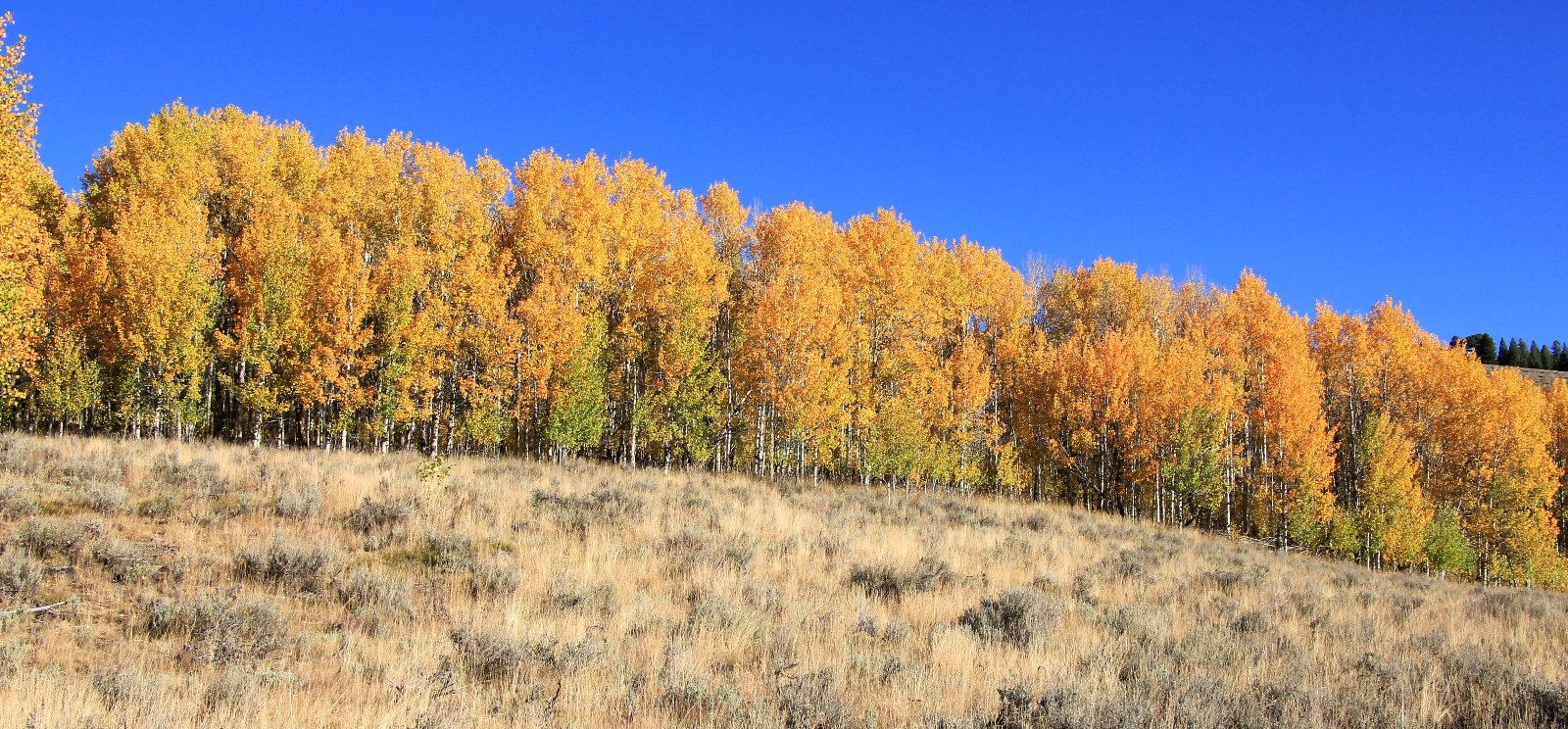 09-22-15 Born Lakes ridgeline hike (4)