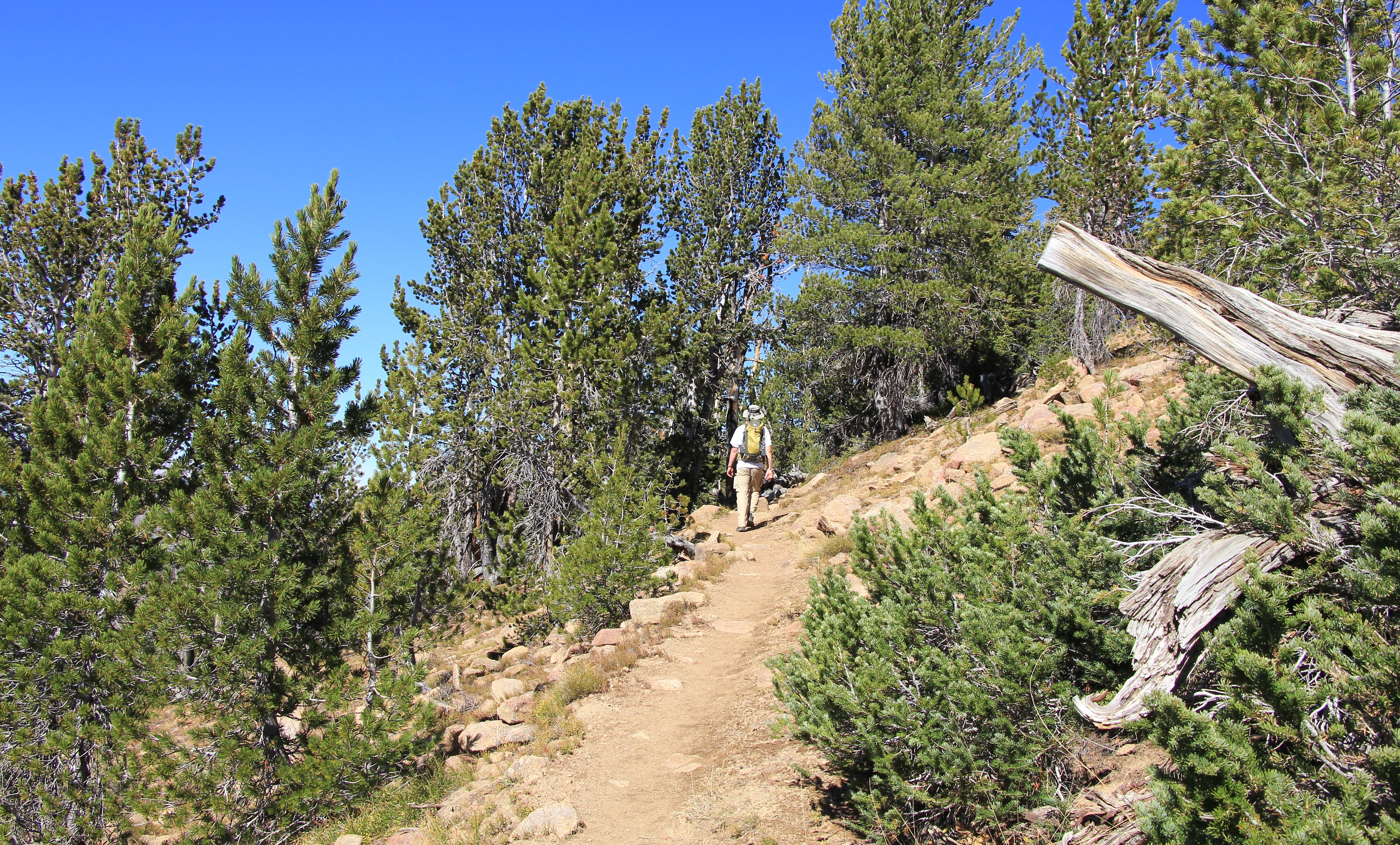 09-22-15 Born Lakes ridgeline hike (57)