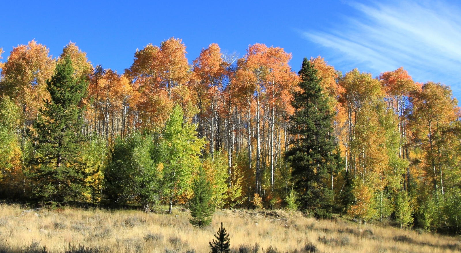 09-22-15 Born Lakes ridgeline hike (6)