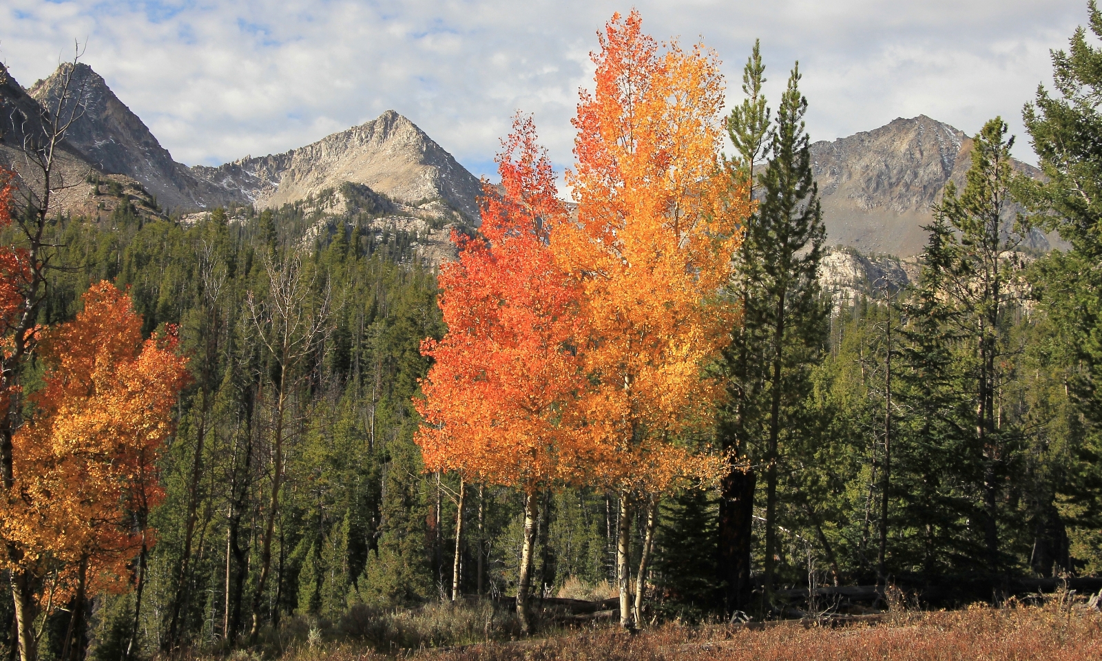 09-26-15 Island Lake (58)