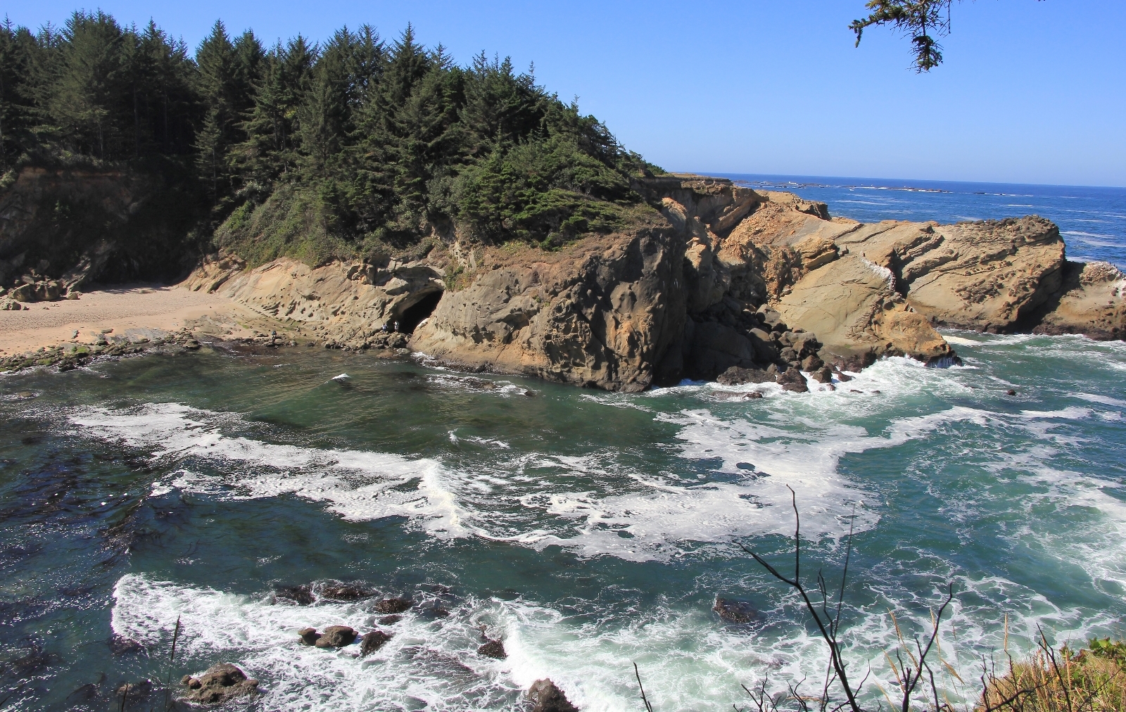 09-04-16-oregon-coast-shore-acres-111