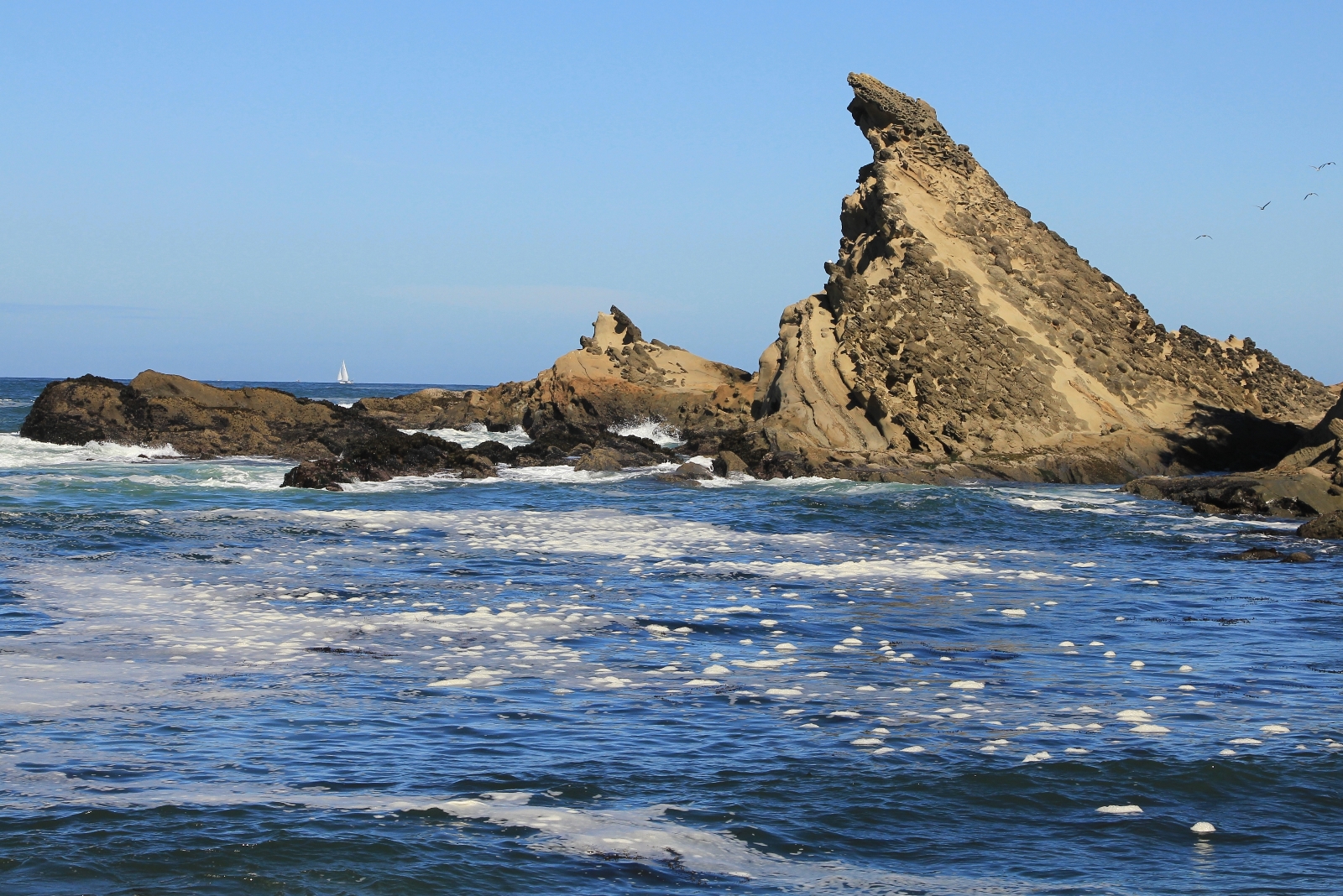 09-04-16-oregon-coast-shore-acres-113