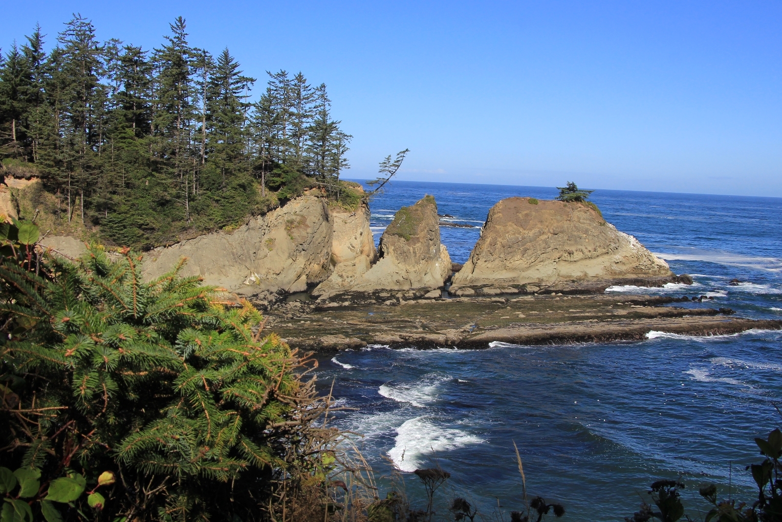 09-04-16-oregon-coast-shore-acres-39