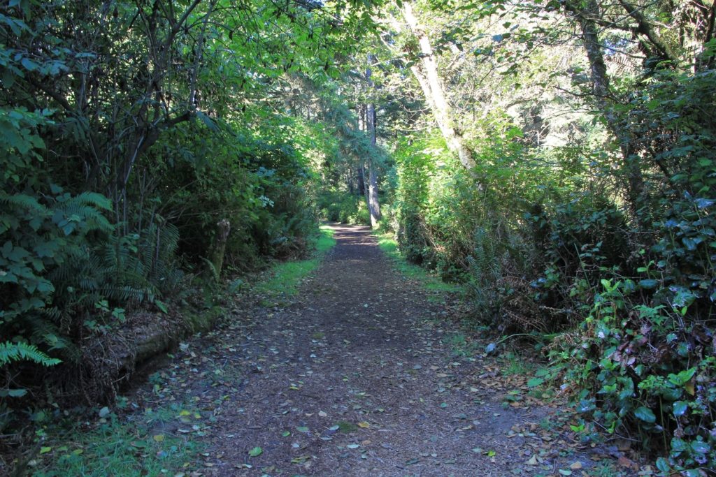 09-04-16-oregon-coast-shore-acres-40