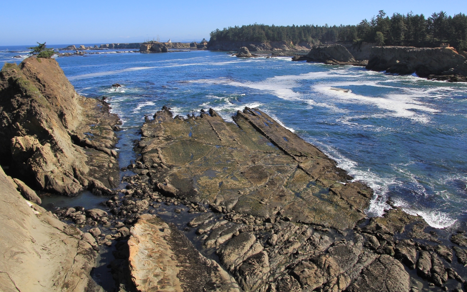 09-04-16-oregon-coast-shore-acres-46