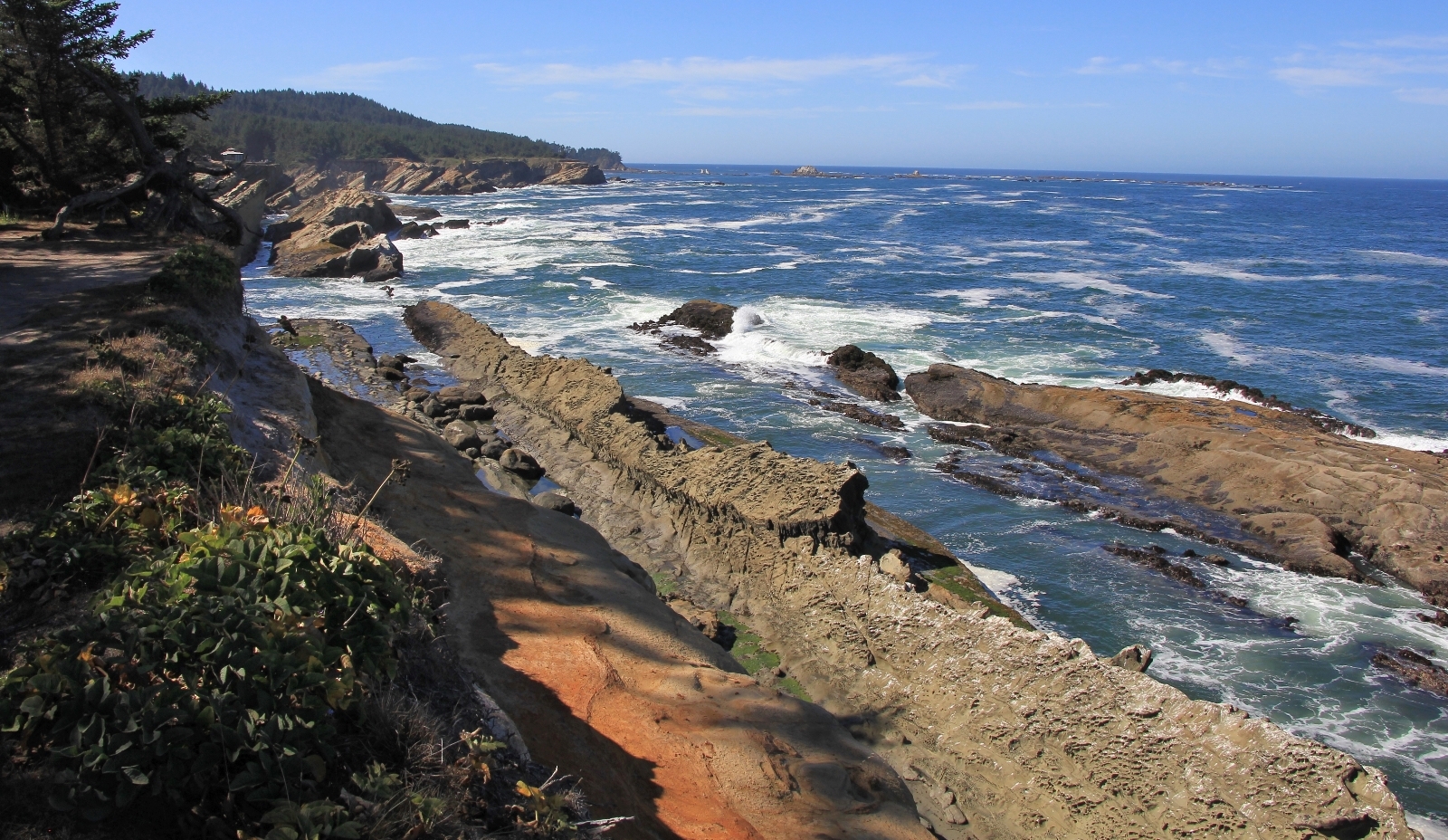 09-04-16-oregon-coast-shore-acres-55