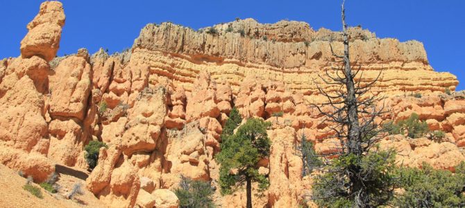 Utah’s Red Canyon: Golden Wall-Castle Bridge-Buckhorn Loop, April 2017 Utah’s Red Canyon: Golden Wall-Castle Bridge-Buckhorn Loop, April 2017