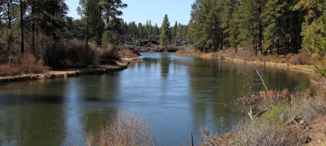 Central Oregon’s Deschutes River: Dillon Falls, April 2018 Central Oregon’s Deschutes River: Dillon Falls, April 2018