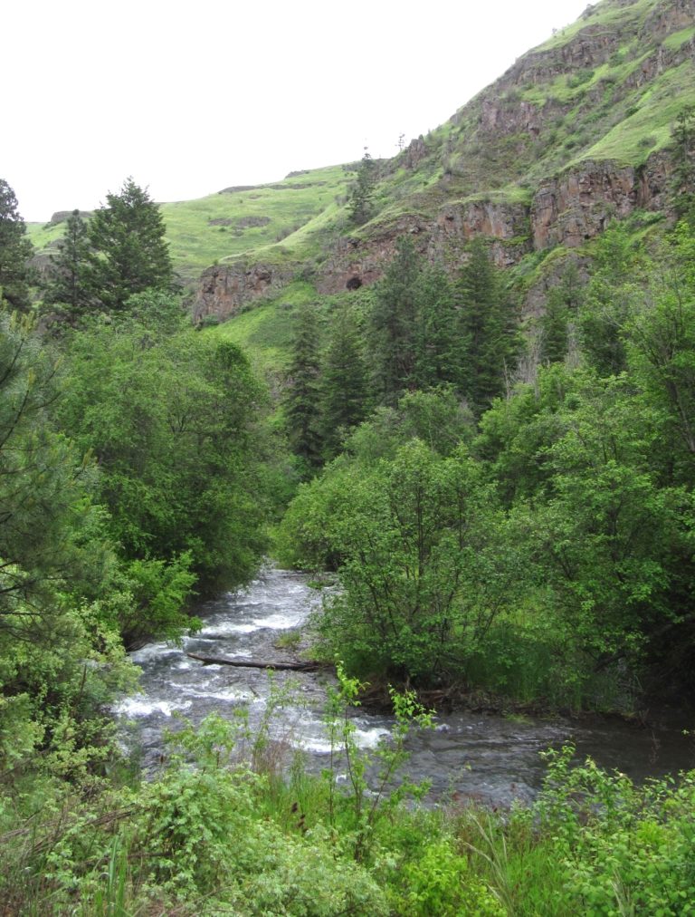 North Fork Asotin Creek Our Home Trail Evans Outdoor Adventures