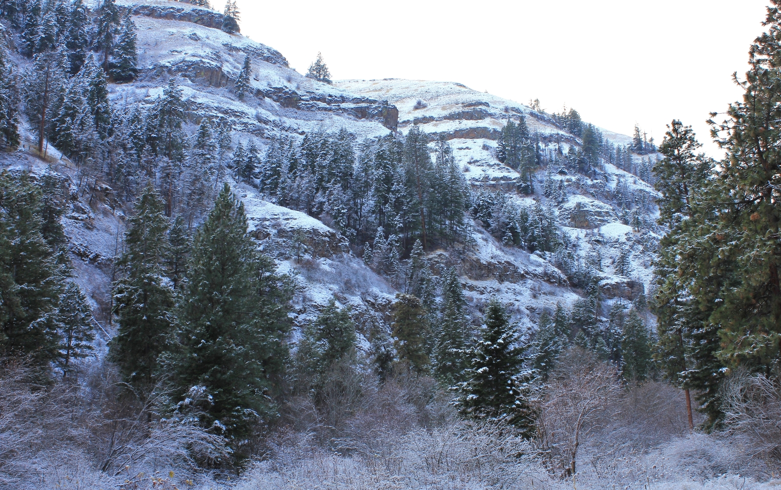 North Fork Asotin Creek Our Home Trail Evans Outdoor Adventures