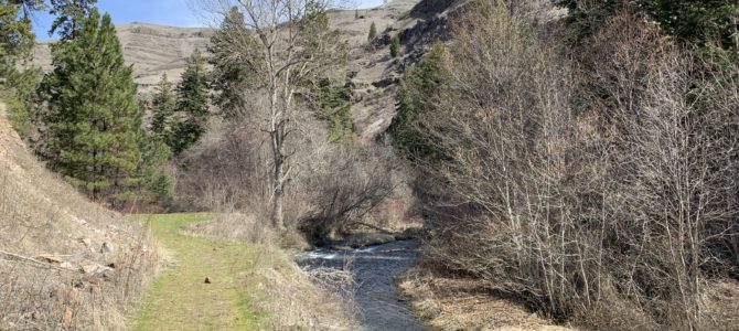 Adventure Log: April 1-7, 2019 (Asotin Slough, North Fork Asotin Creek, & Inside Our RV) Adventure Log: April 1-7, 2019 (Asotin Slough, North Fork Asotin Creek, & Inside Our RV)