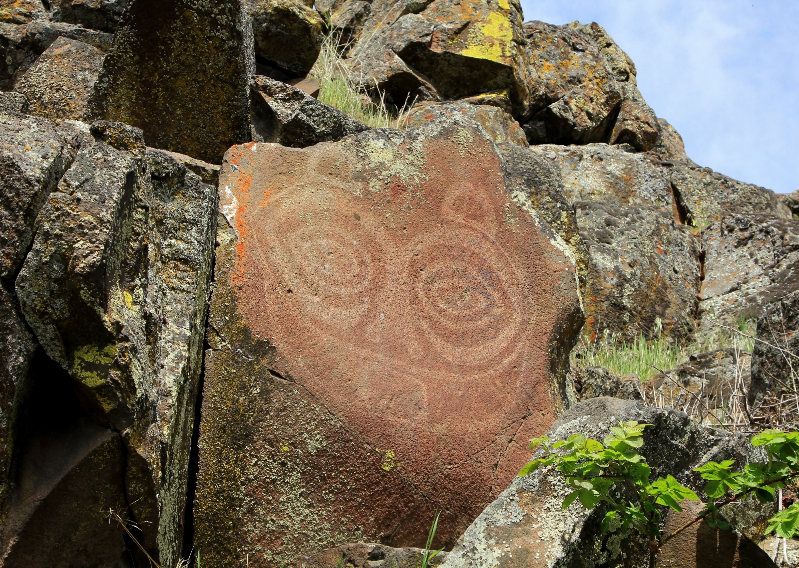 Columbia Hills Historical State Park