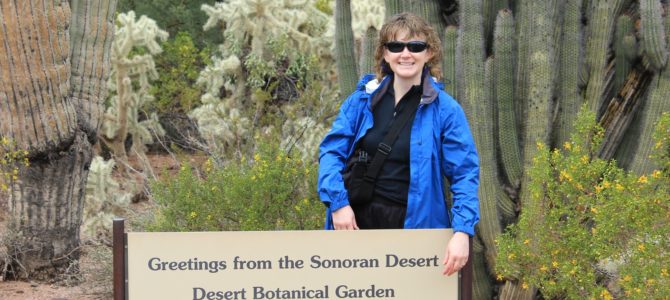 Flashback: Desert Botanical Garden, Phoenix Flashback: Desert Botanical Garden, Phoenix
